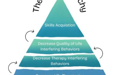 Hierarchy of DBT Therapy Sessions: Why Your Therapist Keeps Asking The Same Questions First