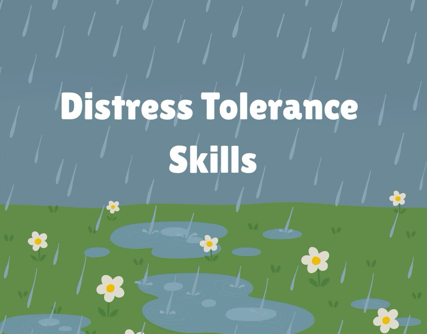 How to Survive the Storm – Distress Tolerance Skills for Crisis Moments